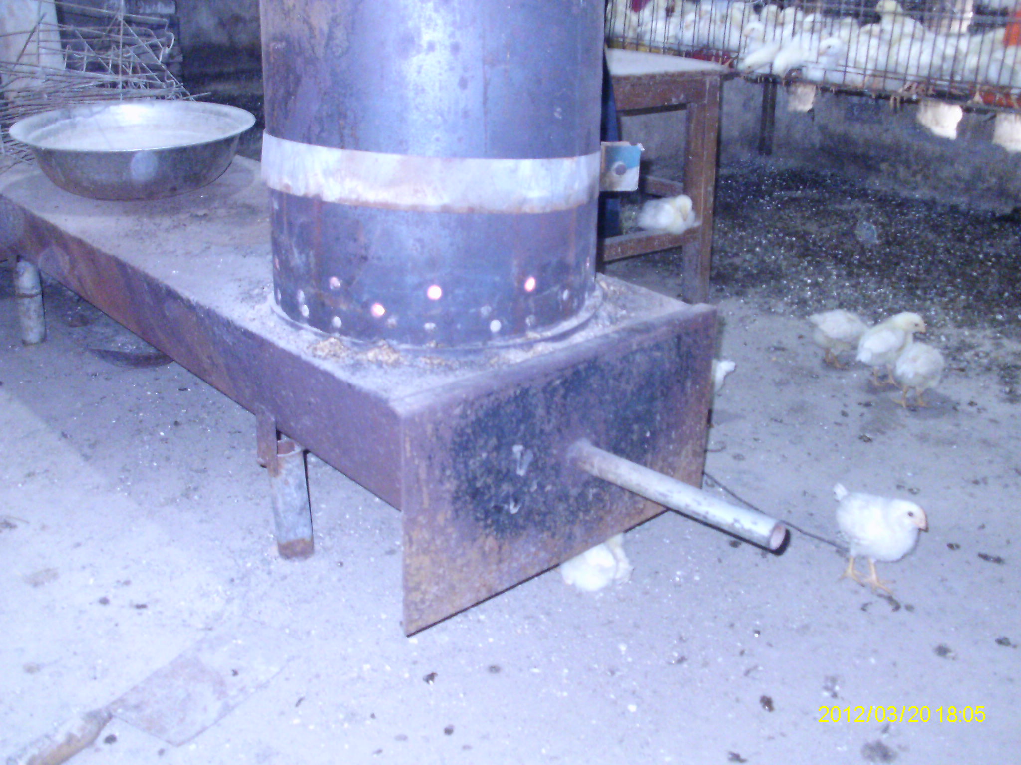IMAG0062.JPG