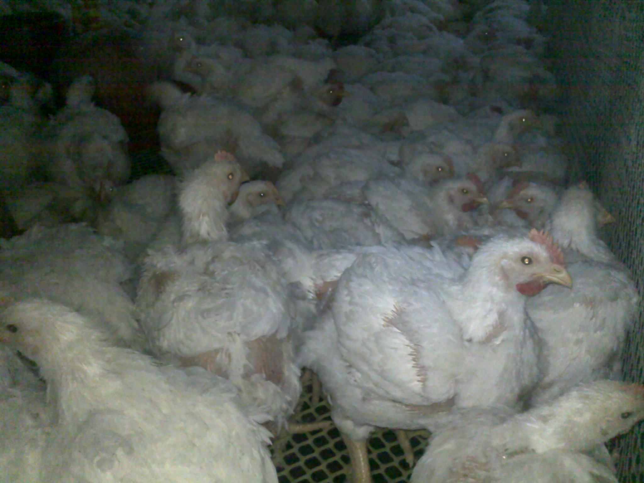 20120306175.jpg