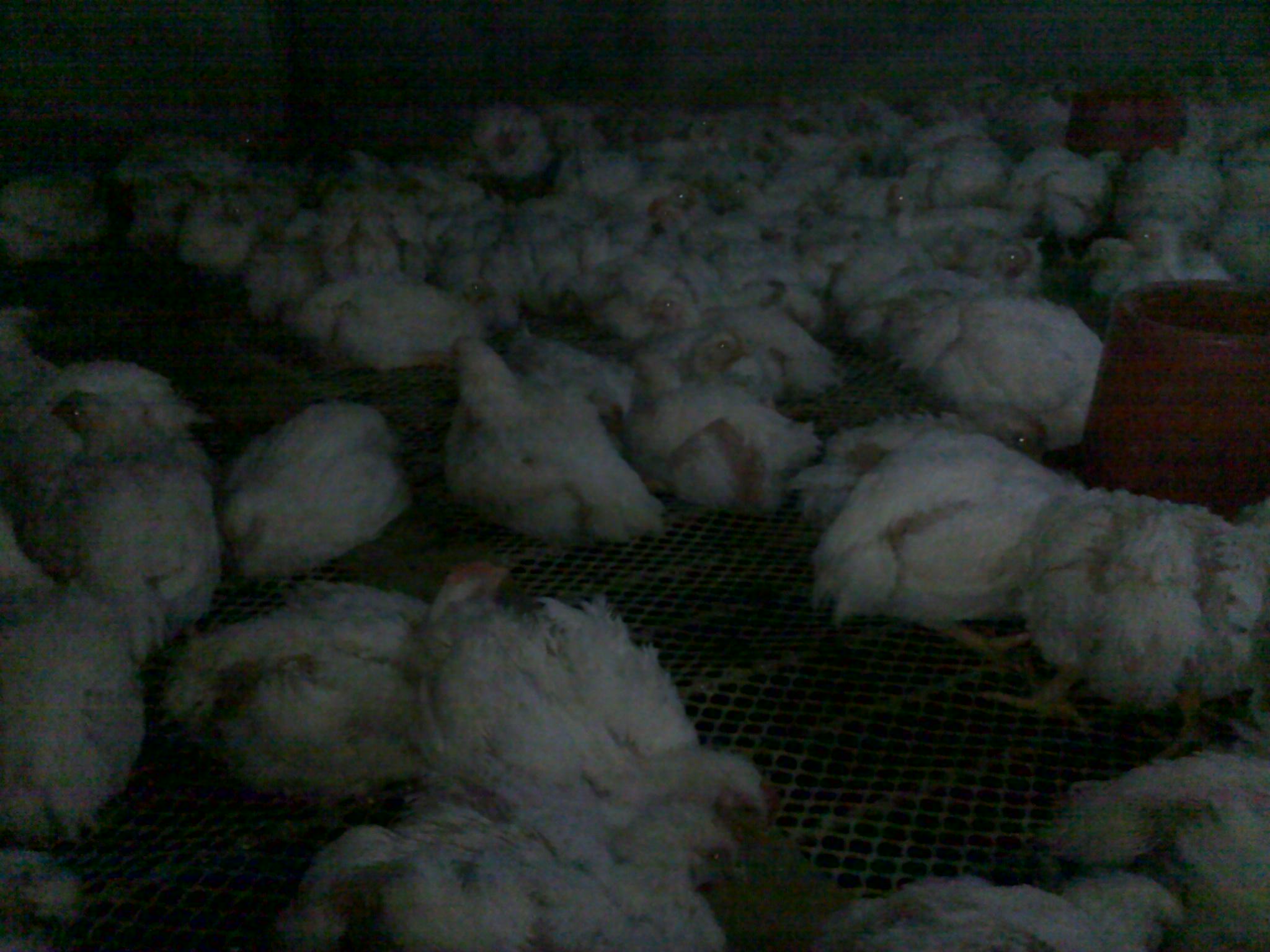 20120306176.jpg