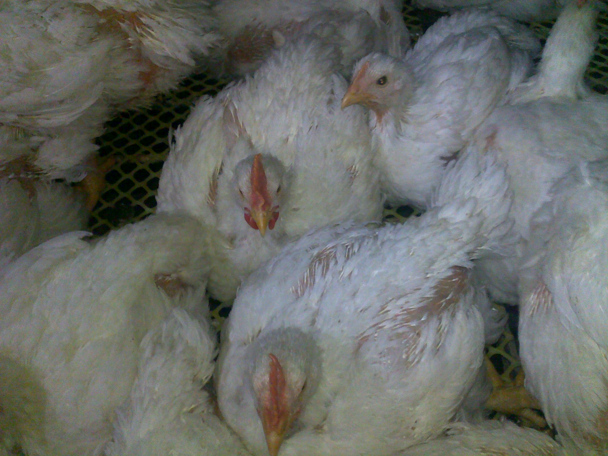 20120306174.jpg