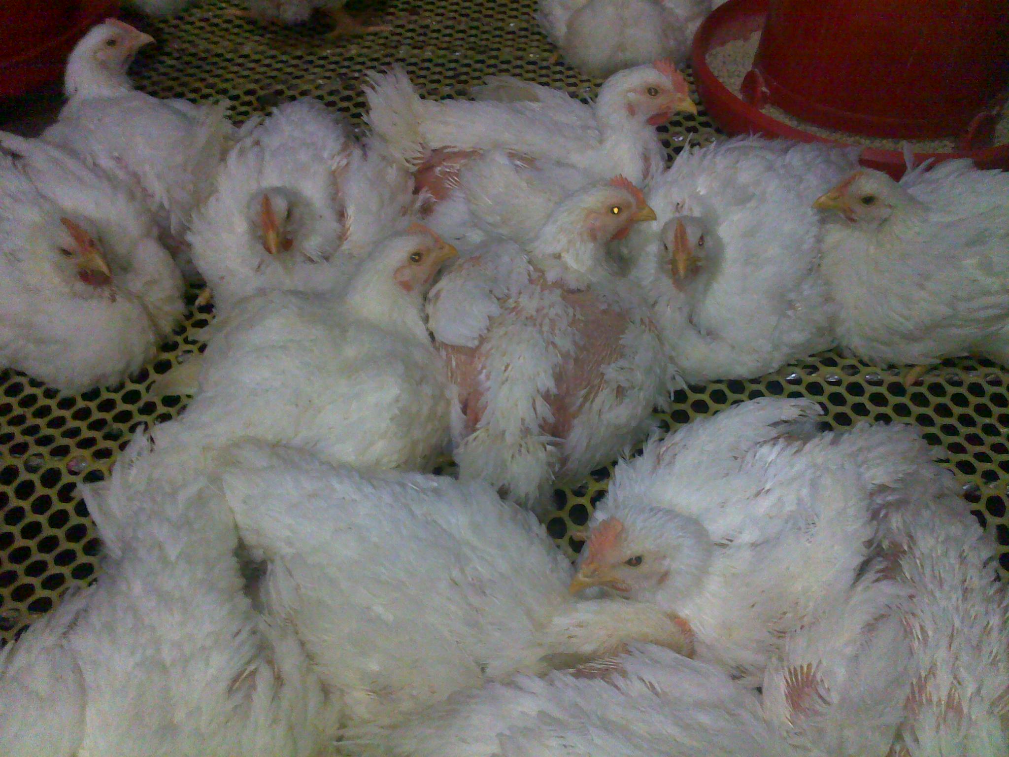 20120306173.jpg