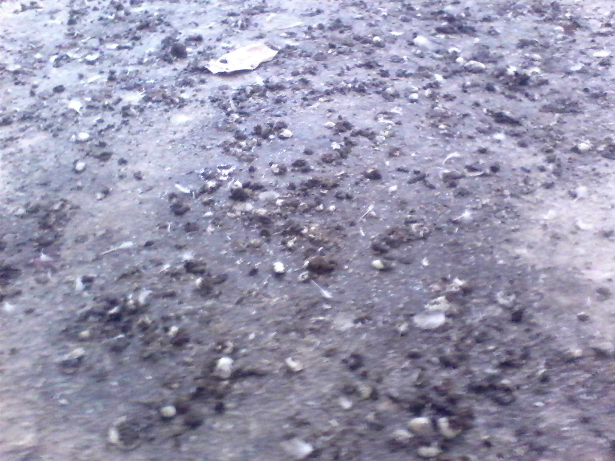IMG_20120314_155815.jpg