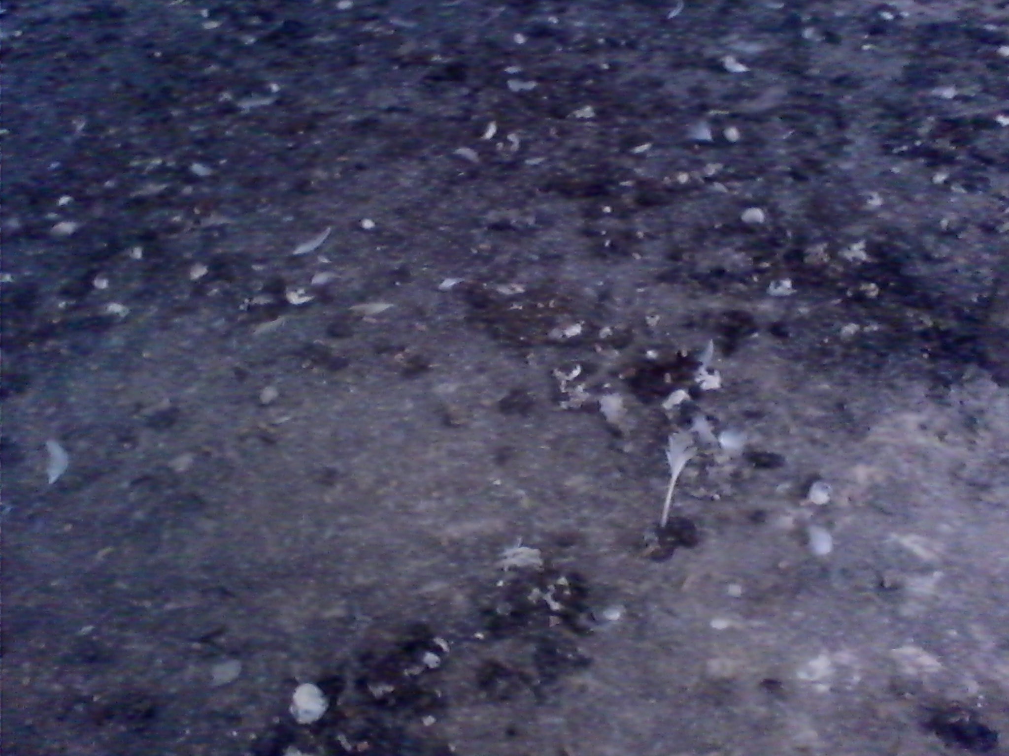 IMG_20120314_155722.jpg