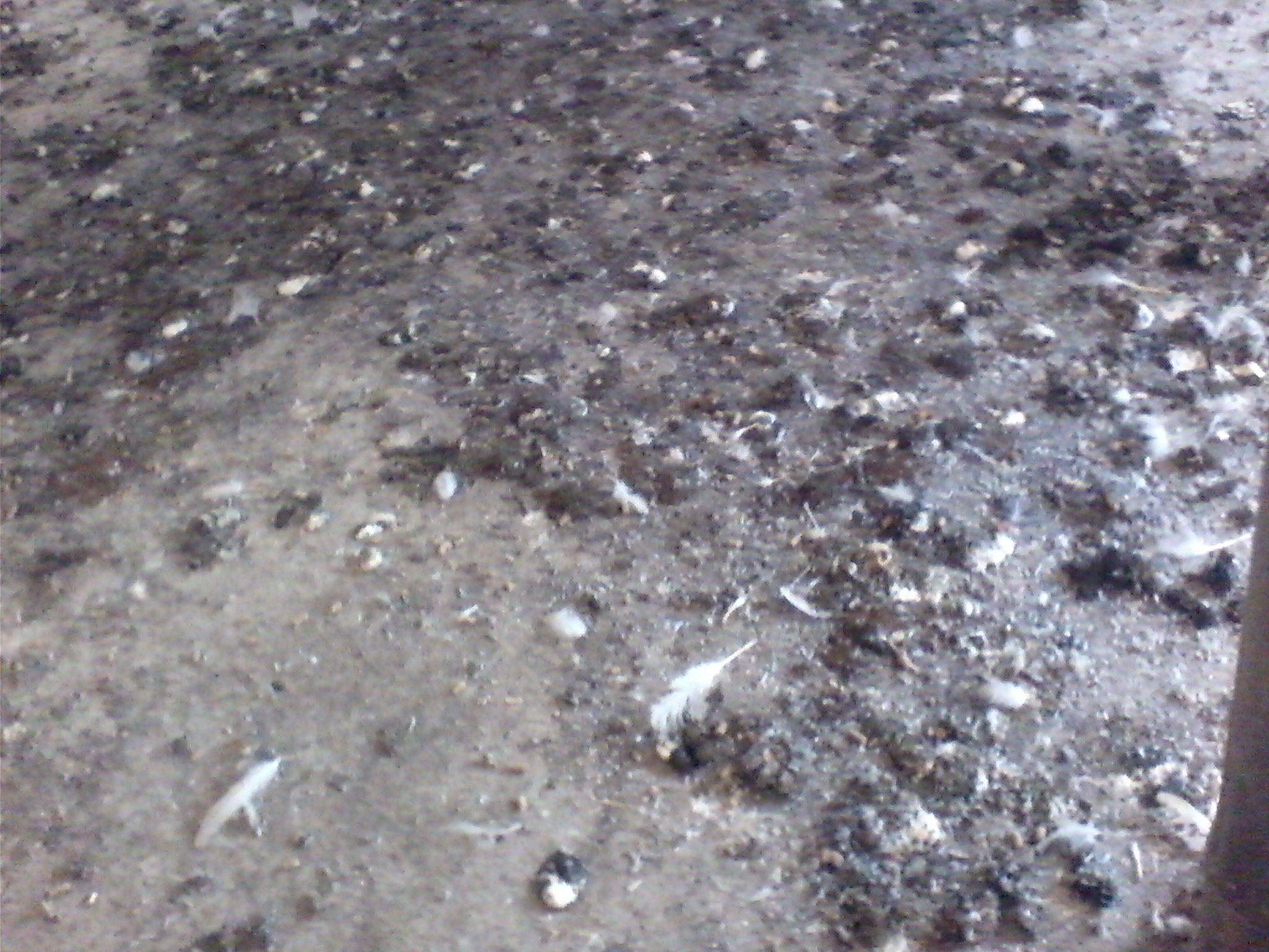 IMG_20120314_155931.jpg