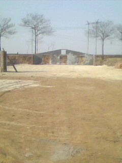 IMG0201A.jpg