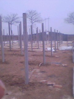 IMG0208A.jpg