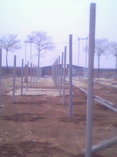 IMG0203A.jpg
