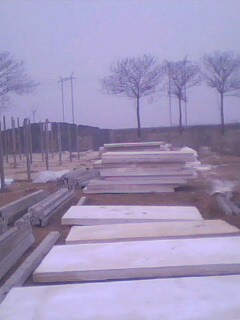 IMG0209A.jpg