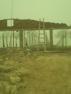 IMG0206A.jpg