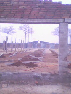 IMG0202A.jpg