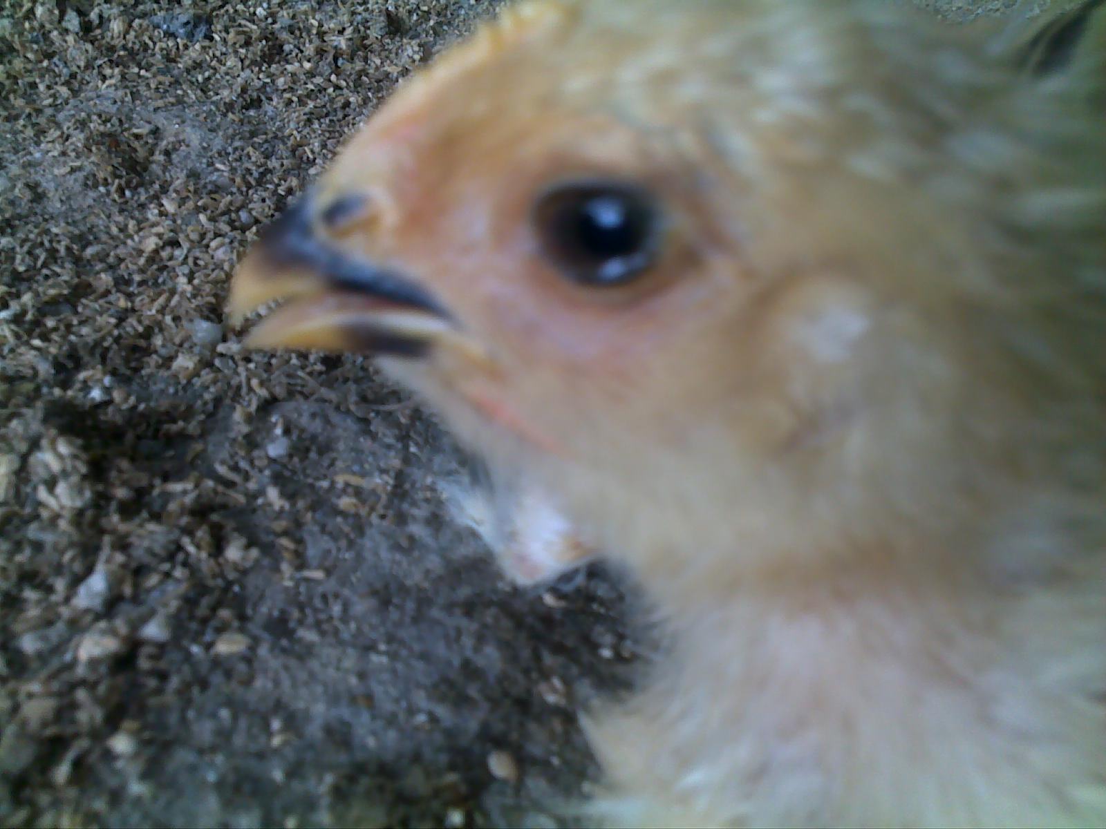 201203081687.jpg