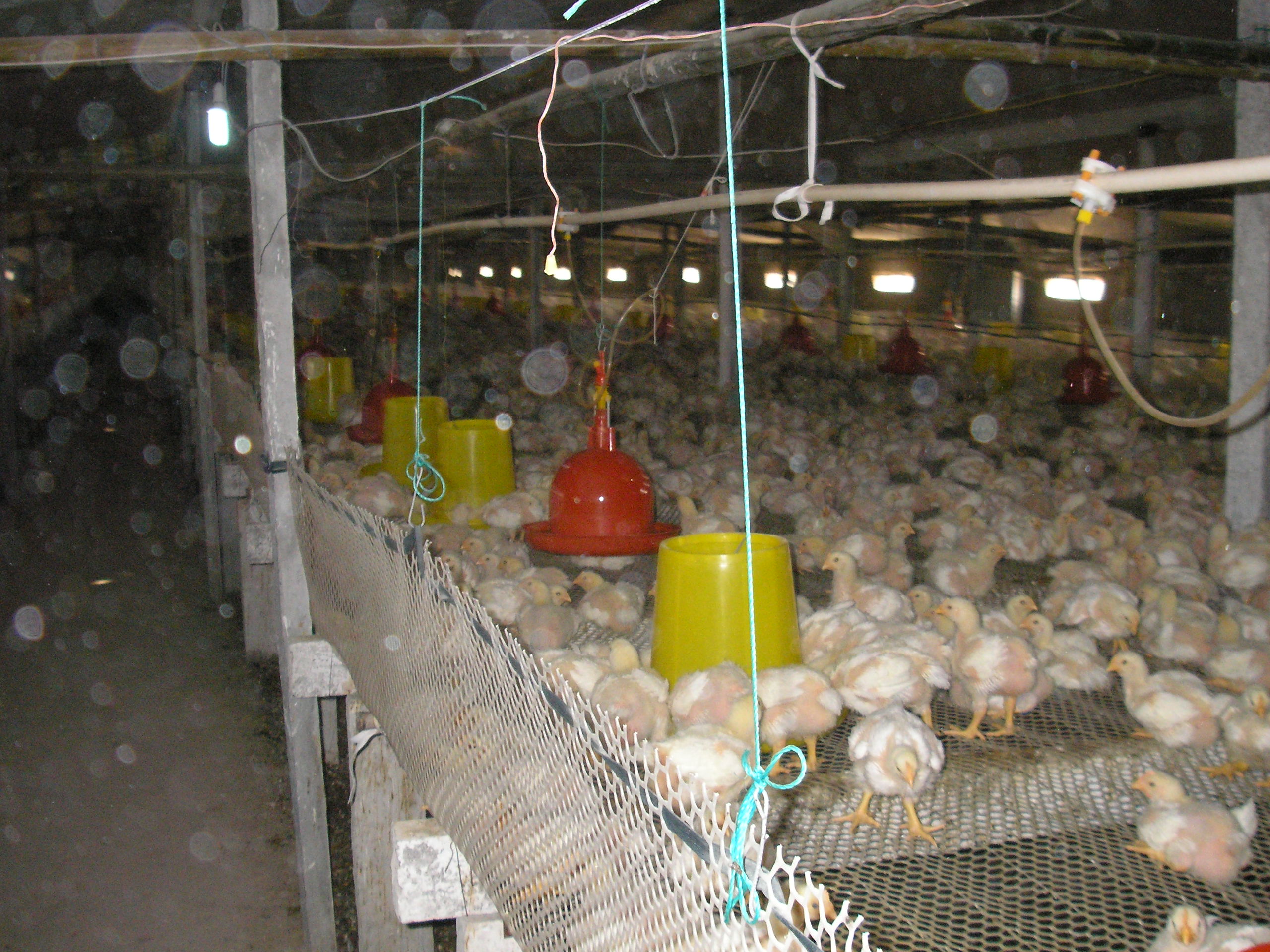 P1010047.JPG