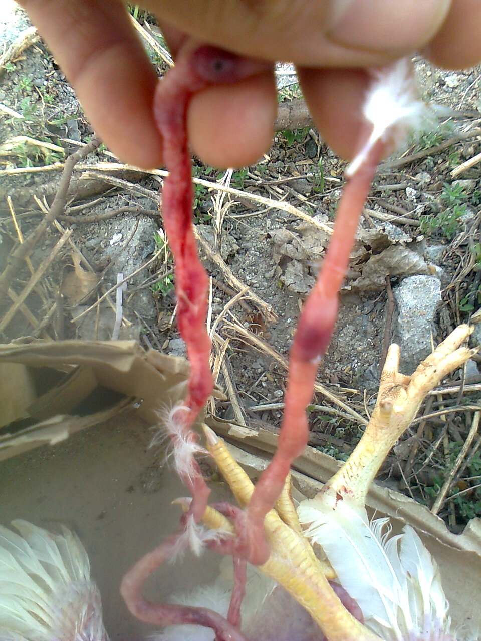 Ƭ0330.jpg