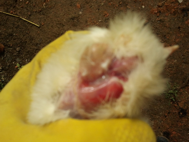 2012-04-21 10.58.25.jpg