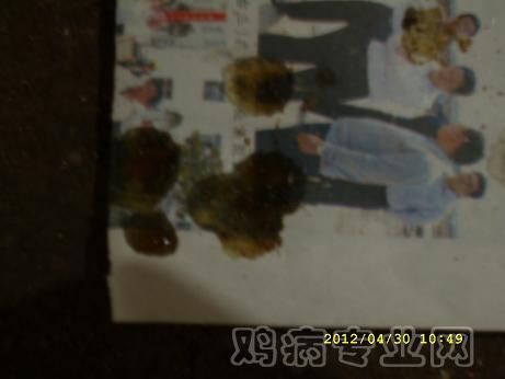 SL278571.JPG