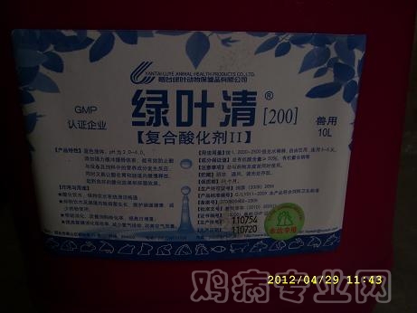 SL278542.JPG