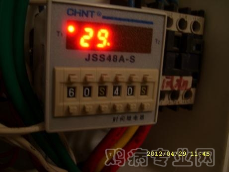 SL278545.JPG