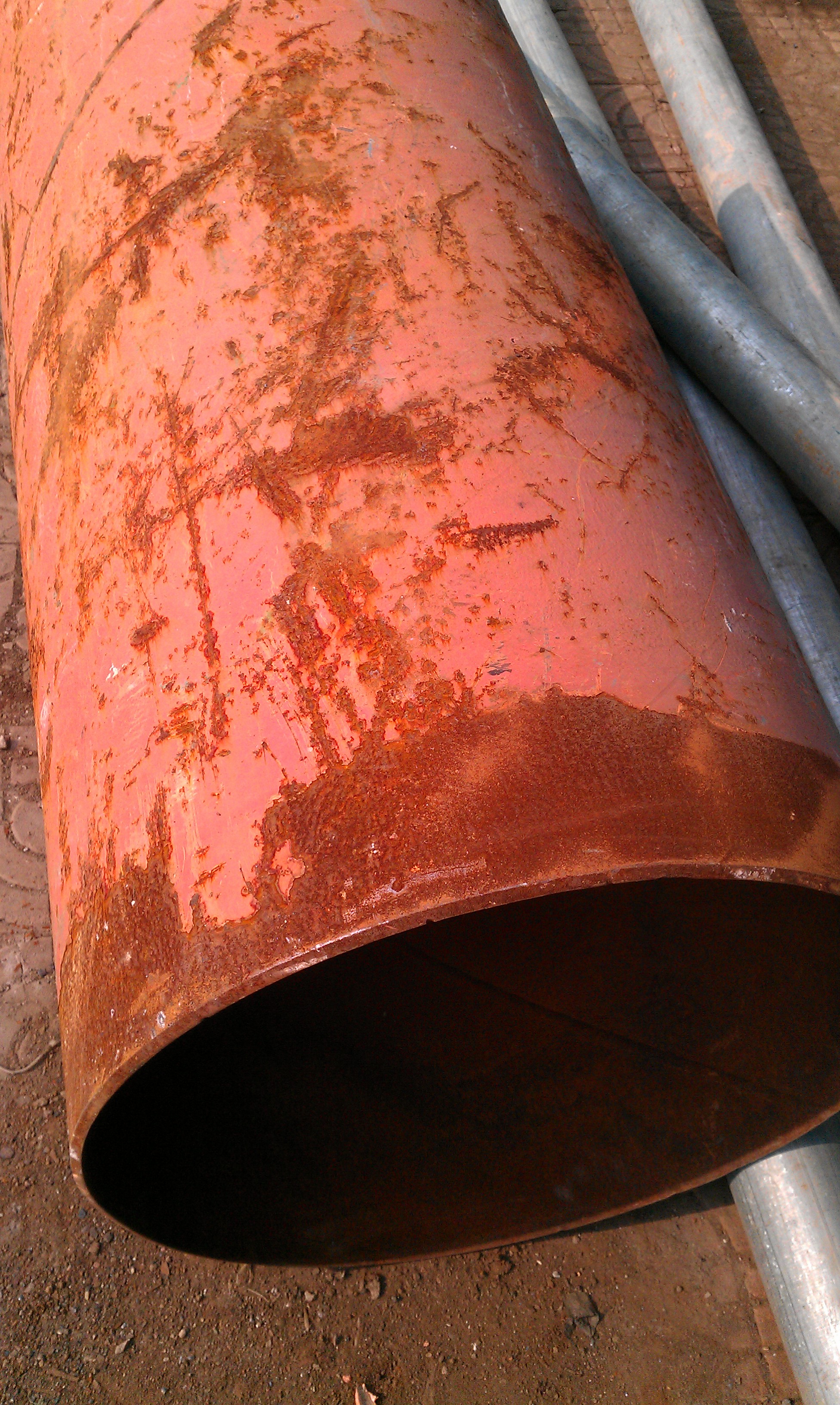 IMAG0126.jpg
