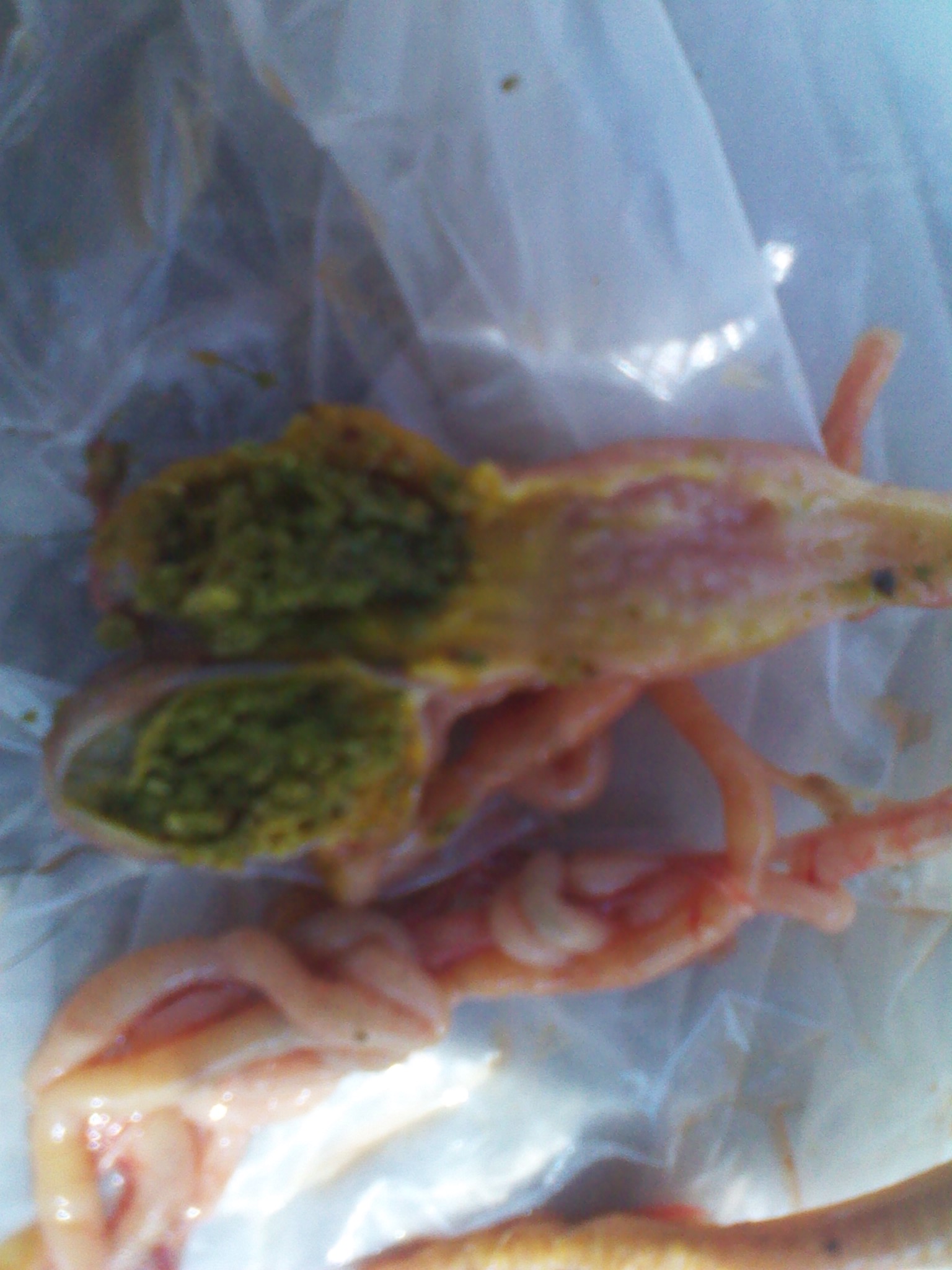 IMG_20120403_121430.jpg
