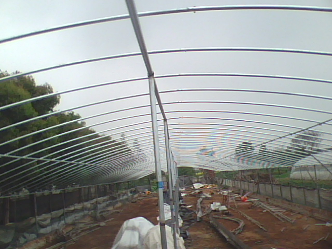 IMG0358A.jpg