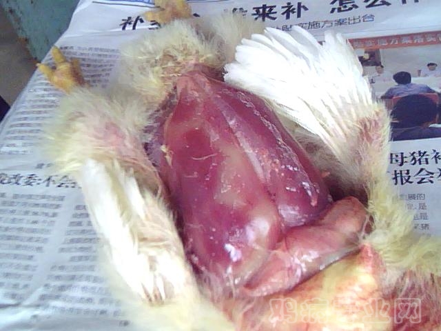 ͼƬ 033.jpg