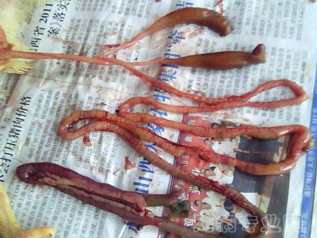 ͼƬ 050.jpg