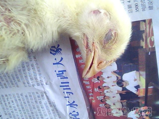 ͼƬ 028.jpg