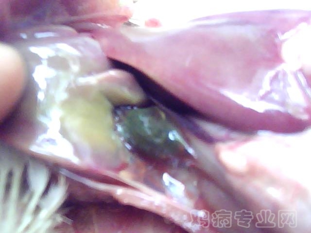 ͼƬ 044.jpg