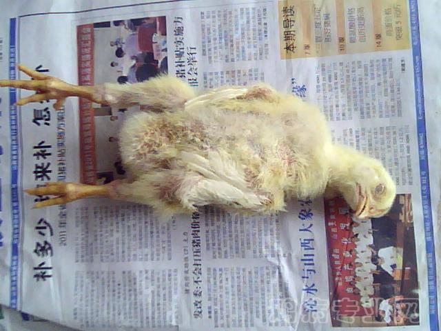 ͼƬ 027.jpg
