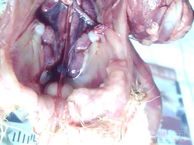 ͼƬ 056.jpg