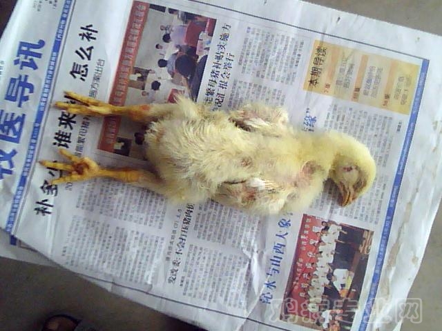 ͼƬ 026.jpg