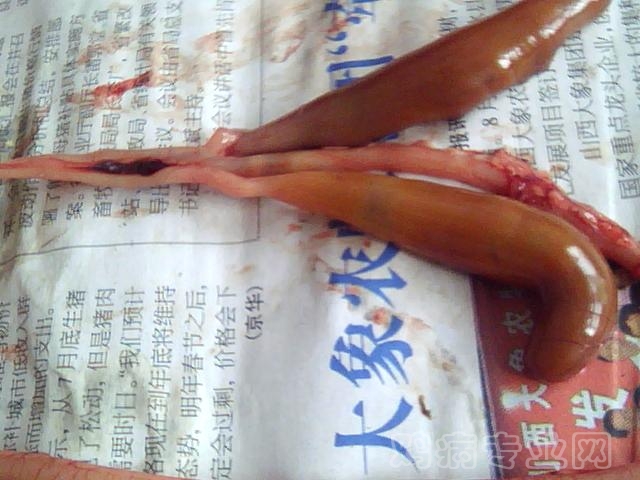 ͼƬ 047.jpg