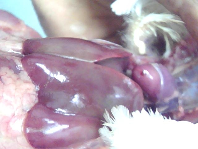 ͼƬ 043.jpg