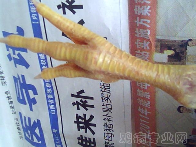 ͼƬ 029.jpg
