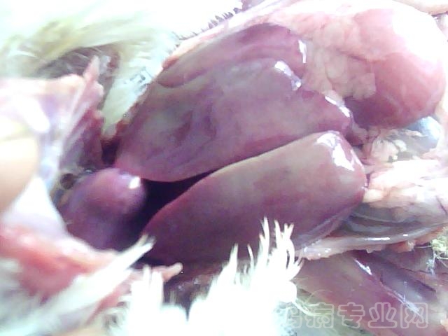 ͼƬ 037.jpg