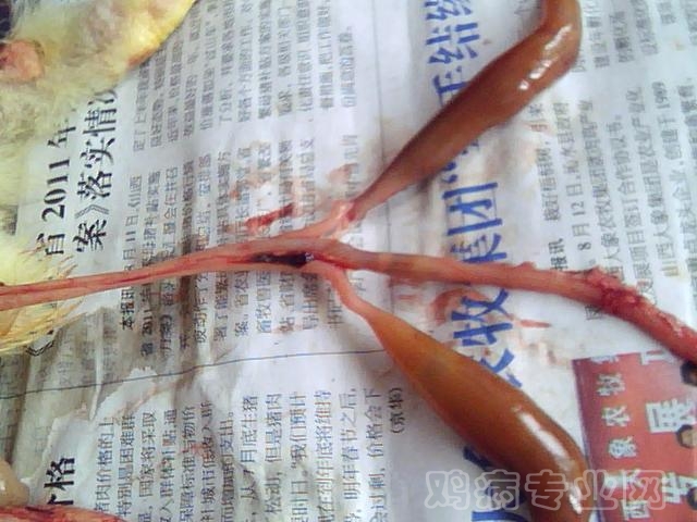 ͼƬ 045.jpg