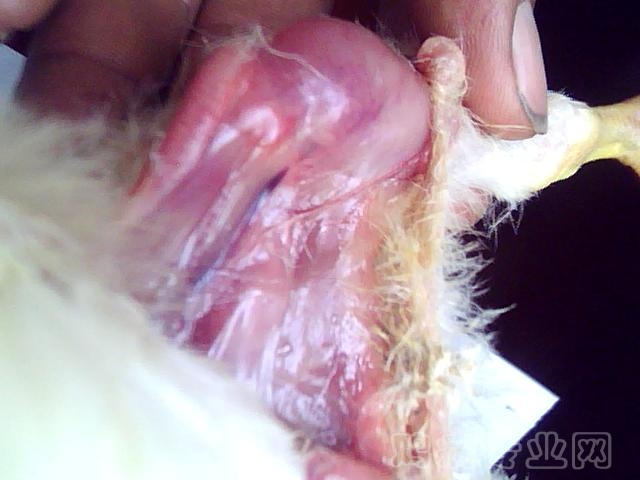 ͼƬ 036.jpg