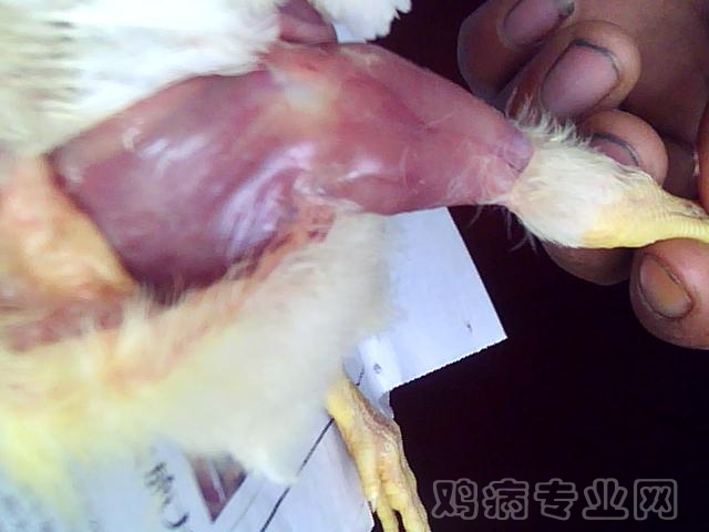ͼƬ 035.jpg