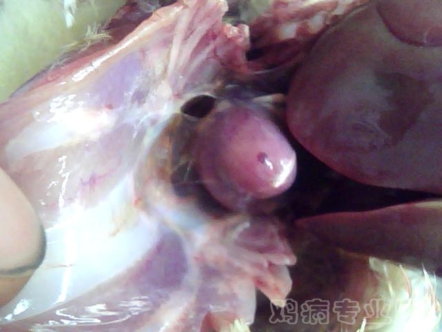 ͼƬ 039.jpg