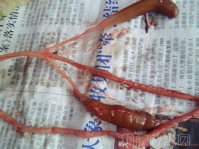 ͼƬ 049.jpg