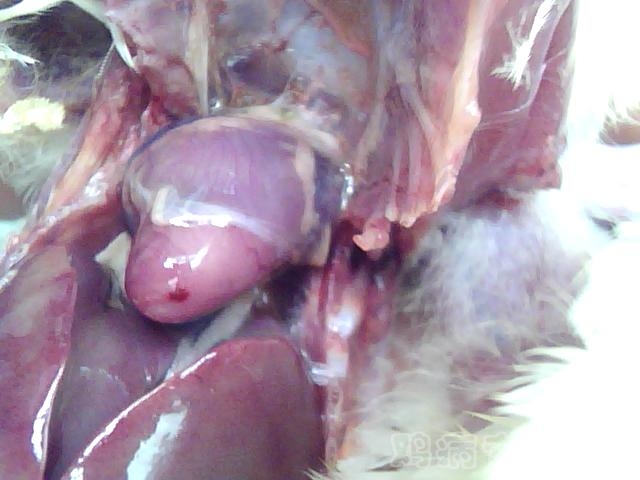 ͼƬ 042.jpg
