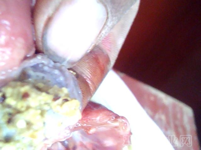 ͼƬ 063.jpg