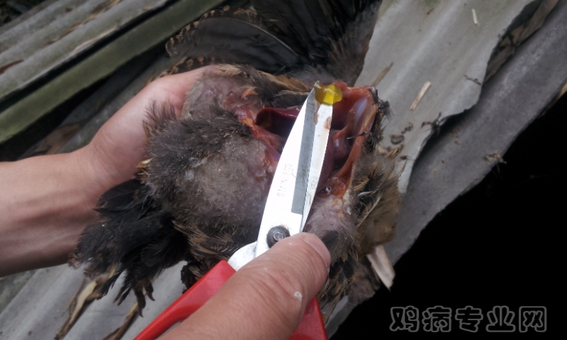 20120522_110116.jpg