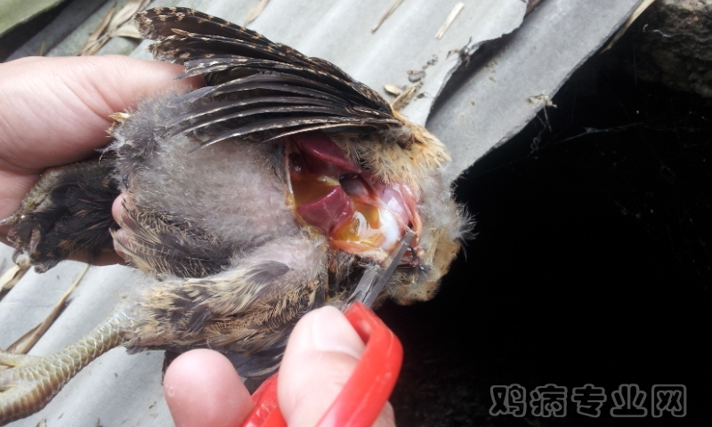 20120522_110040.jpg