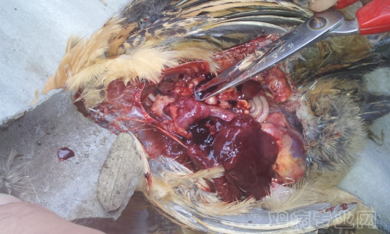 20120527_082135.jpg