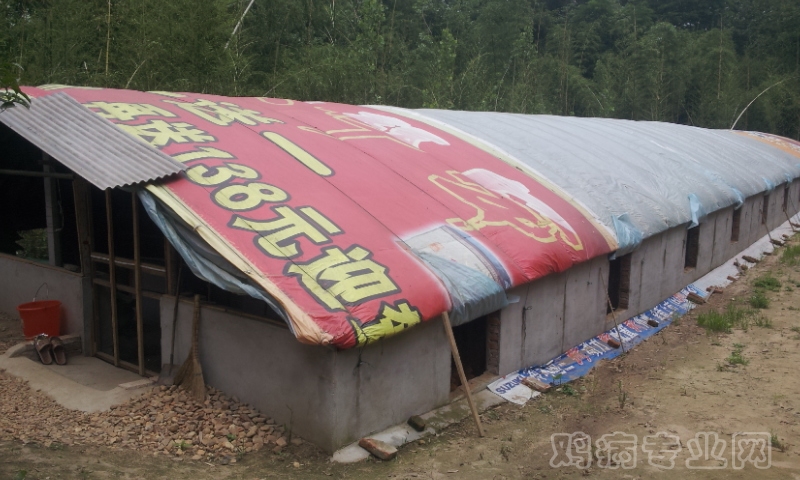 20120527_111417.jpg