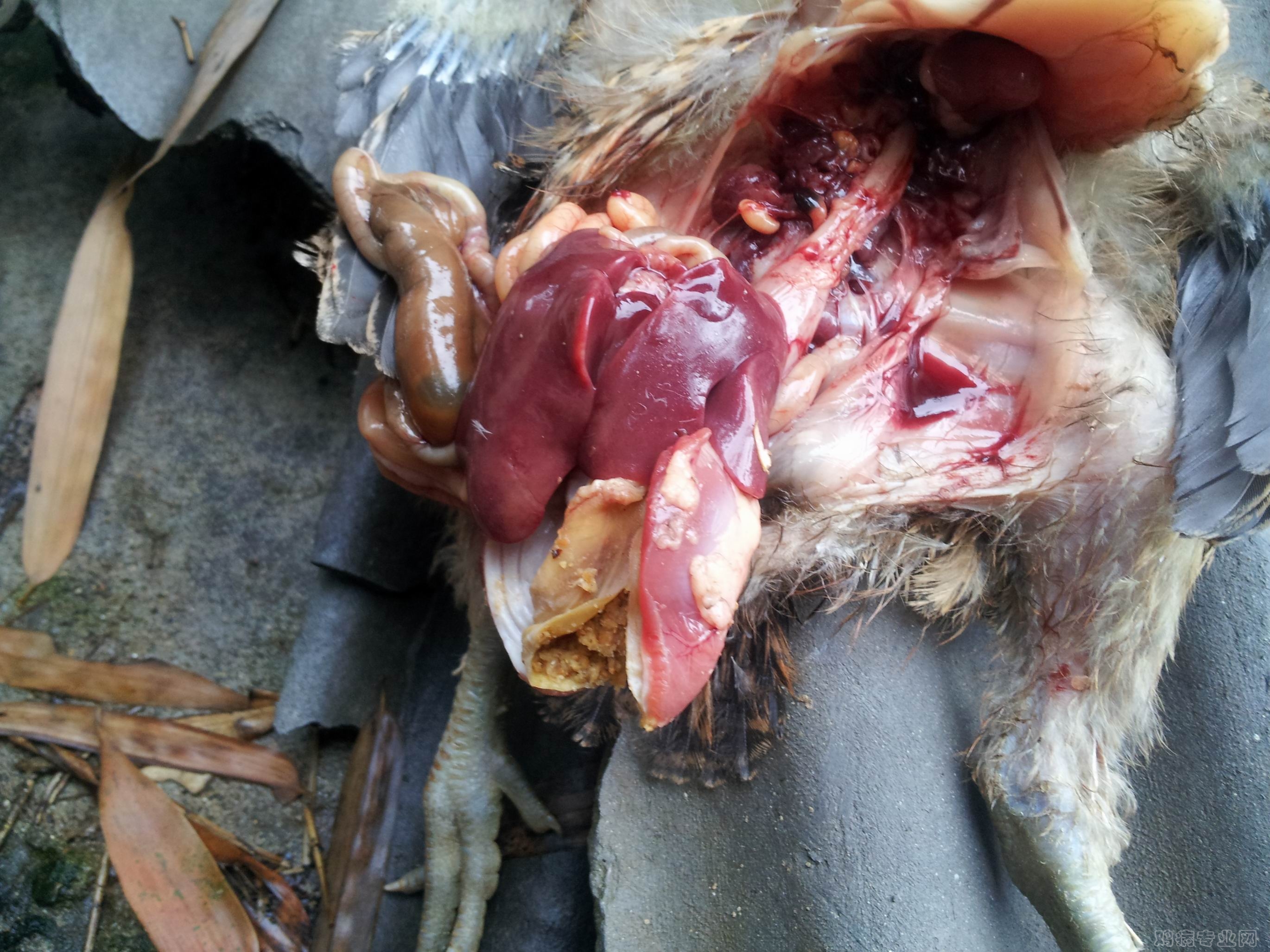 20120508_111629.jpg