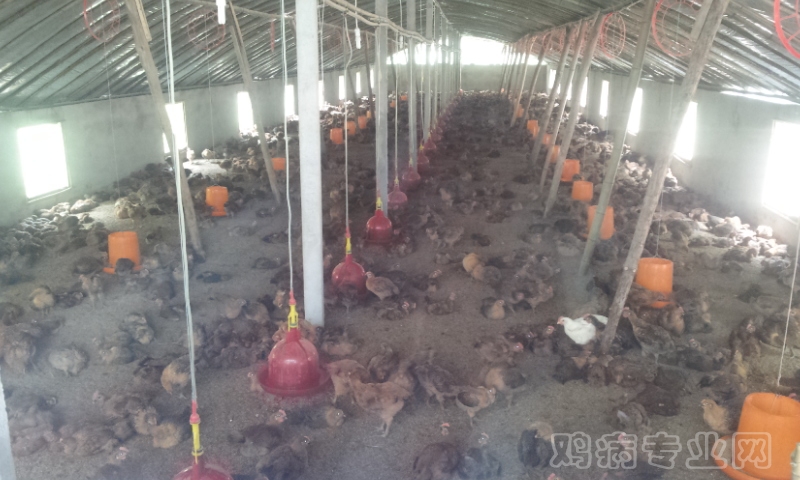 20120527_111259.jpg
