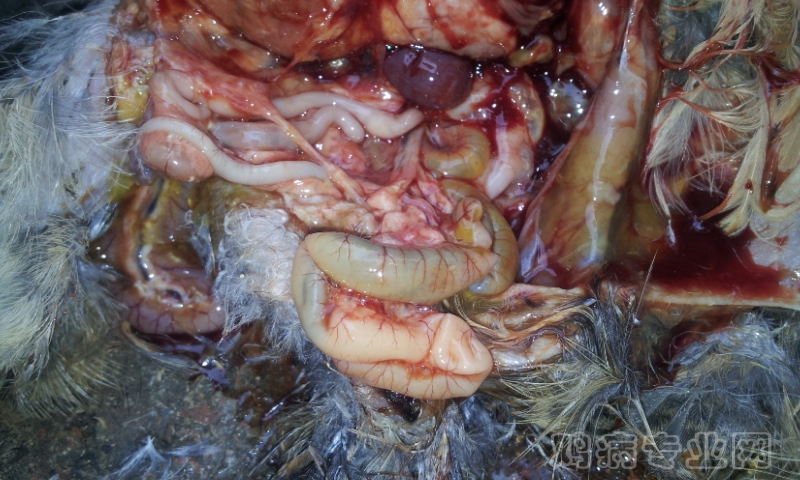20120527_082547.jpg