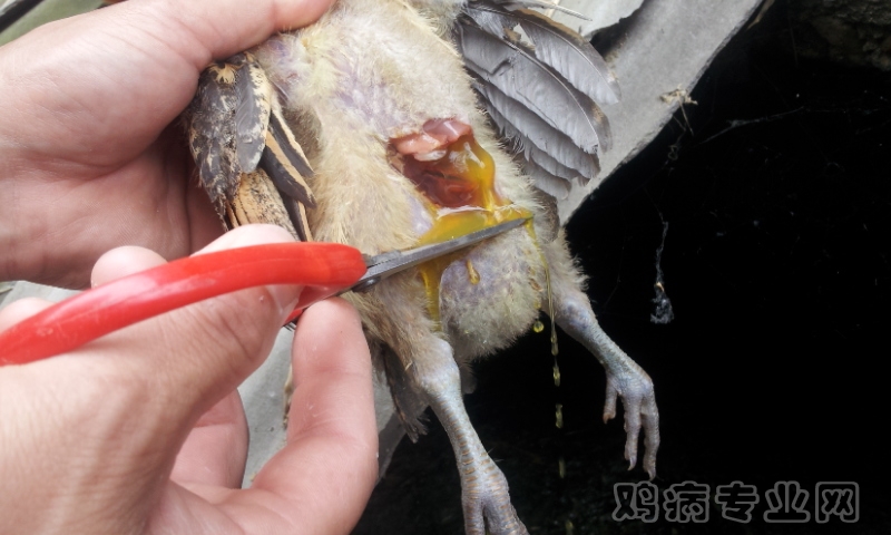 20120522_105931.jpg